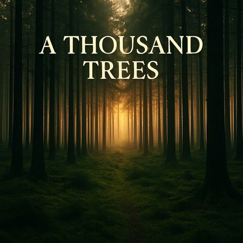 A Thousand Trees (Piano Version)