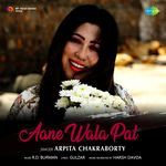 Aane Wala Pal artwork