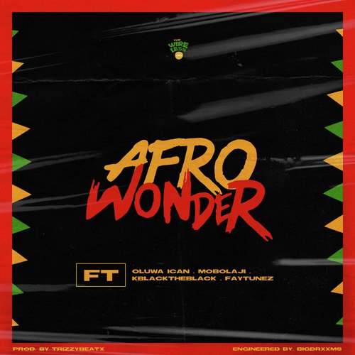 Afro Wonder