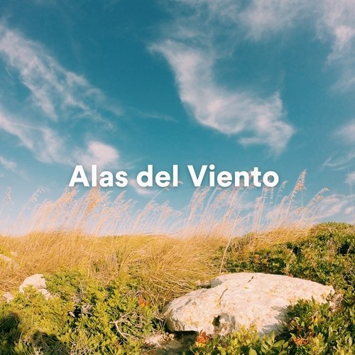 Alas del Viento_poster_image