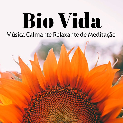 Musica para Massagem Especialistas cover art