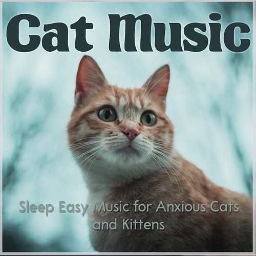 Cat Music: Sleep Easy Music for Anxious Cats and Kittens