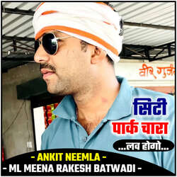 City Park Chara Love Hogo