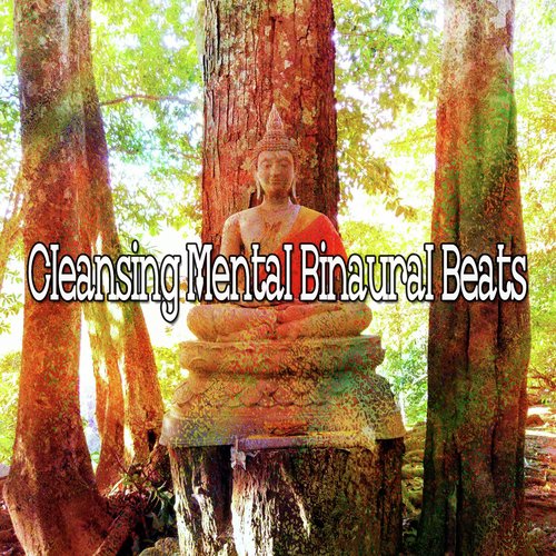 Cleansing Mental Binaural Beats_poster_image