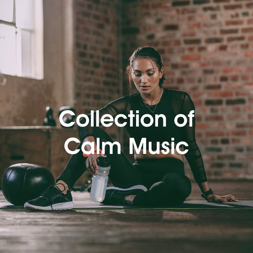 Collection of Calm Music