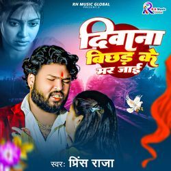 Deewana Bichhad Ke Mar Jai