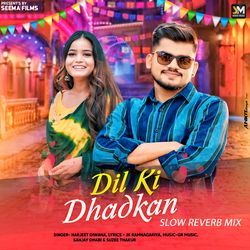 Dil Ki Dhadkan (Slow Reverb Mix)-ABsNZUdyZHY