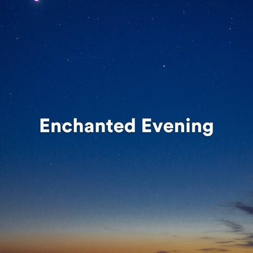 Enchanted Evening (Calming piano tracks)_poster_image