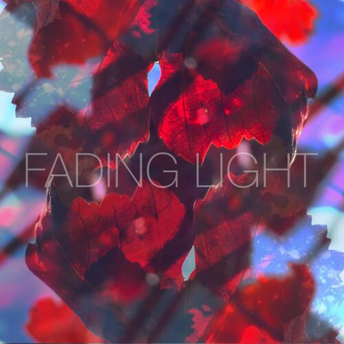 Fading Light cover art