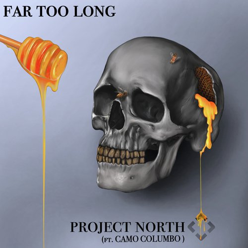 Far Too Long Lyrics Project North Only on JioSaavn