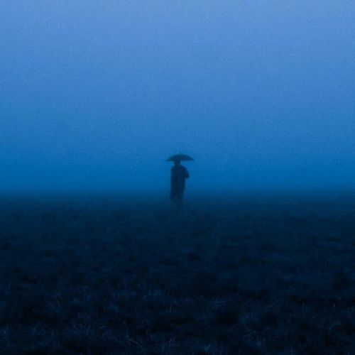Avenoir cover art