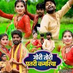 Gori Tori Patari Kamariya