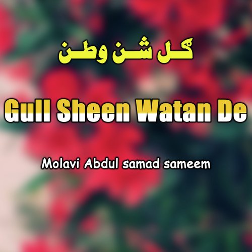 Gull Sheen Watan De