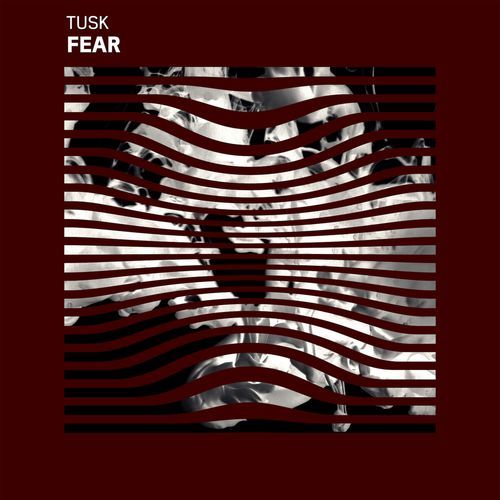 Ivory cover art