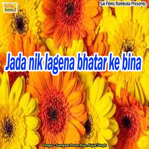 Jada nik lagena bhatar ke bina