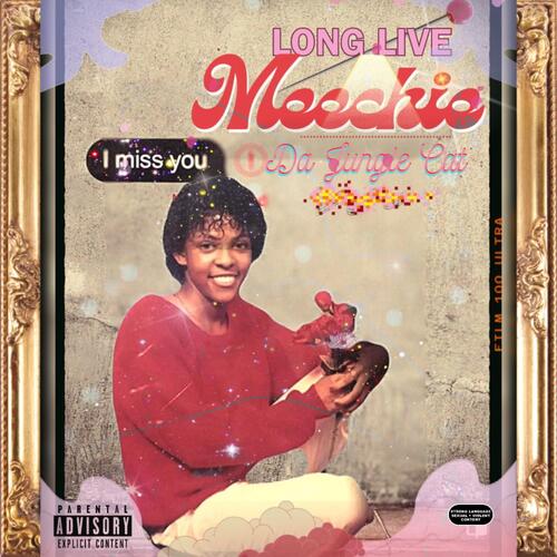 Long Live Meechie cover art