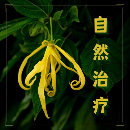 灵气