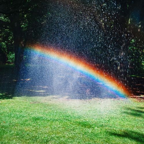 Miracle