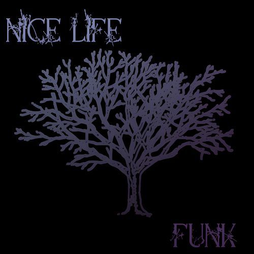 NICE LIFE FUNK