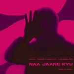 Naa Jaane Kyu