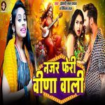 Najar Feri Veena Wali