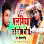 Palangiya Kare Choye Choye