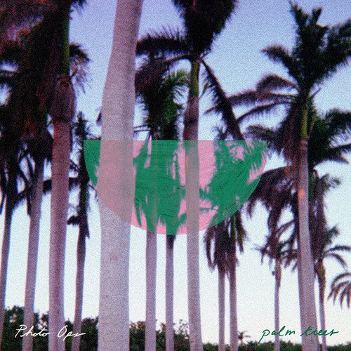 Palm Trees