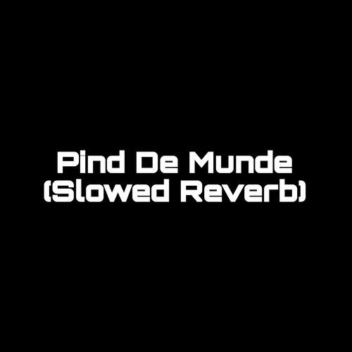 Pind De Munde (Slowed Reverb) (1)