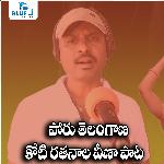 Poru Telangana Koti Rathanala Veena