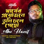 Sarther Proyojone Tumi Chole Gecho