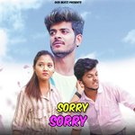 Sorry Sorry