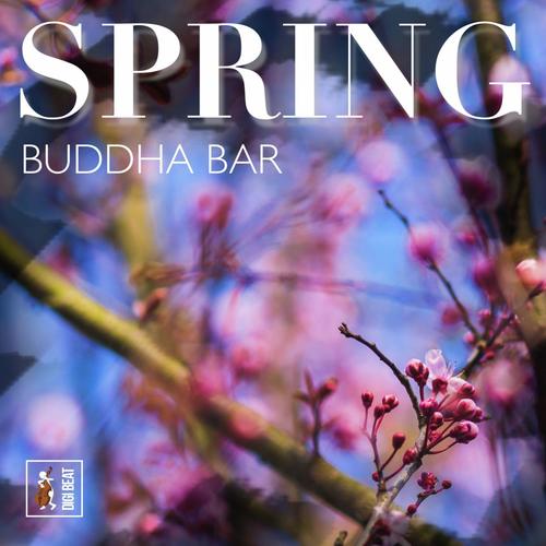 Spring Buddha Bar