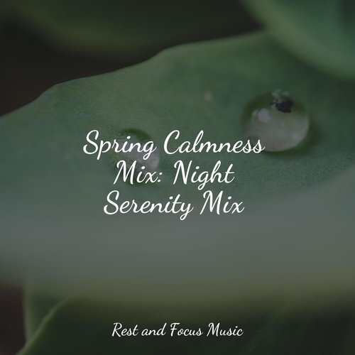 Spring Calmness Mix: Night Serenity Mix