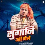 Sugani Udi Gele (From "Sanjani Aanha Bina")