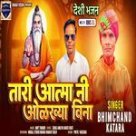 Tari Aatama Ne Olakhiya Vina