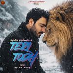 Teri Todh