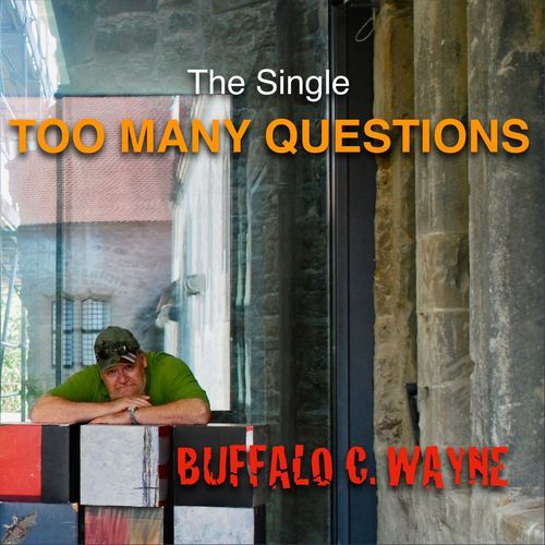 Too Many Questions cover art