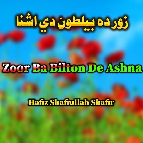 Zoor Bilton De