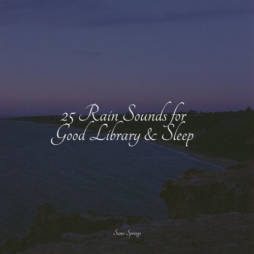 25 Rain Sounds for Good Library & Sleep