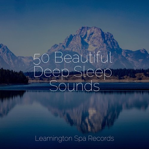 Focused, Relaxed cover art