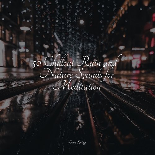 Rain, Storm and Thunder cover art