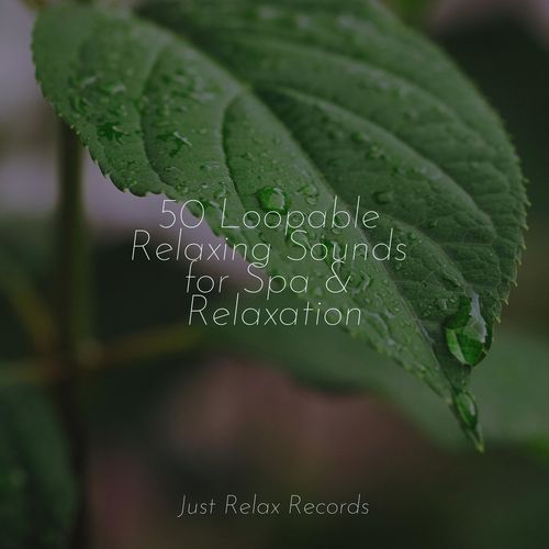 50 Loopable Relaxing Sounds for Spa & Relaxation_poster_image