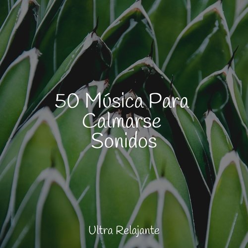 50 Música Para Calmarse Sonidos_poster_image