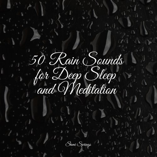 50 Rain Sounds for Deep Sleep and Meditation_poster_image