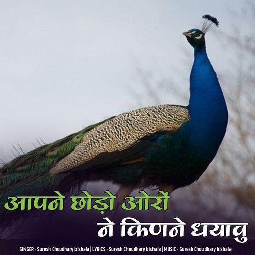 Aapne chodo oro ne kinne dharau