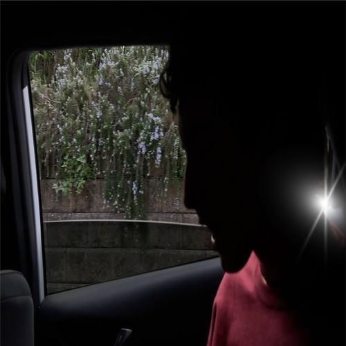 COPILOTO cover art