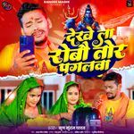 Dekhe La Robau Tor Paglawa