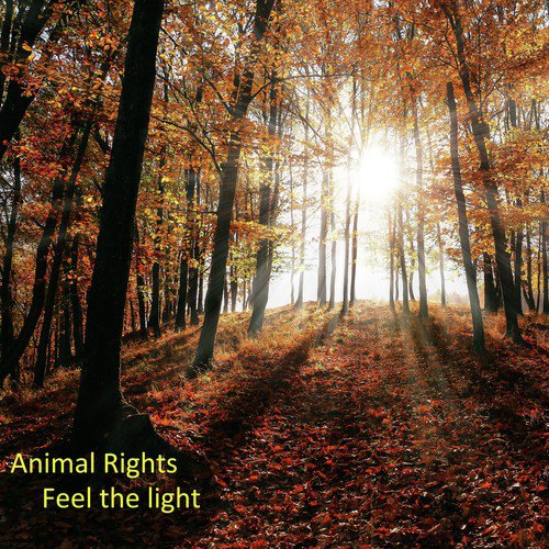 Animal Rights