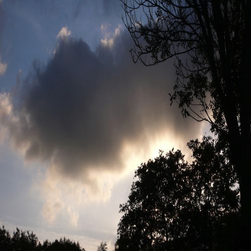 For You cover art