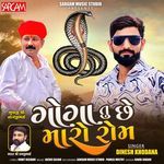 Goga Tu Chhe Maro Rom
